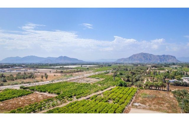 Rynek pierwotny - Apartament - Jacarilla - pueblo