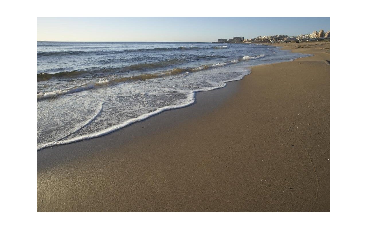 Rynek pierwotny - Bungalow - Torrevieja - Altos del Sol