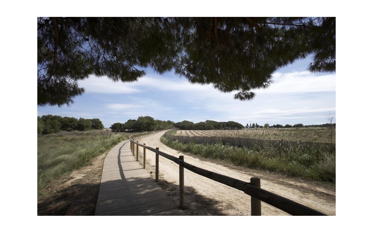 Rynek pierwotny - Bungalow - Torrevieja - Altos del Sol
