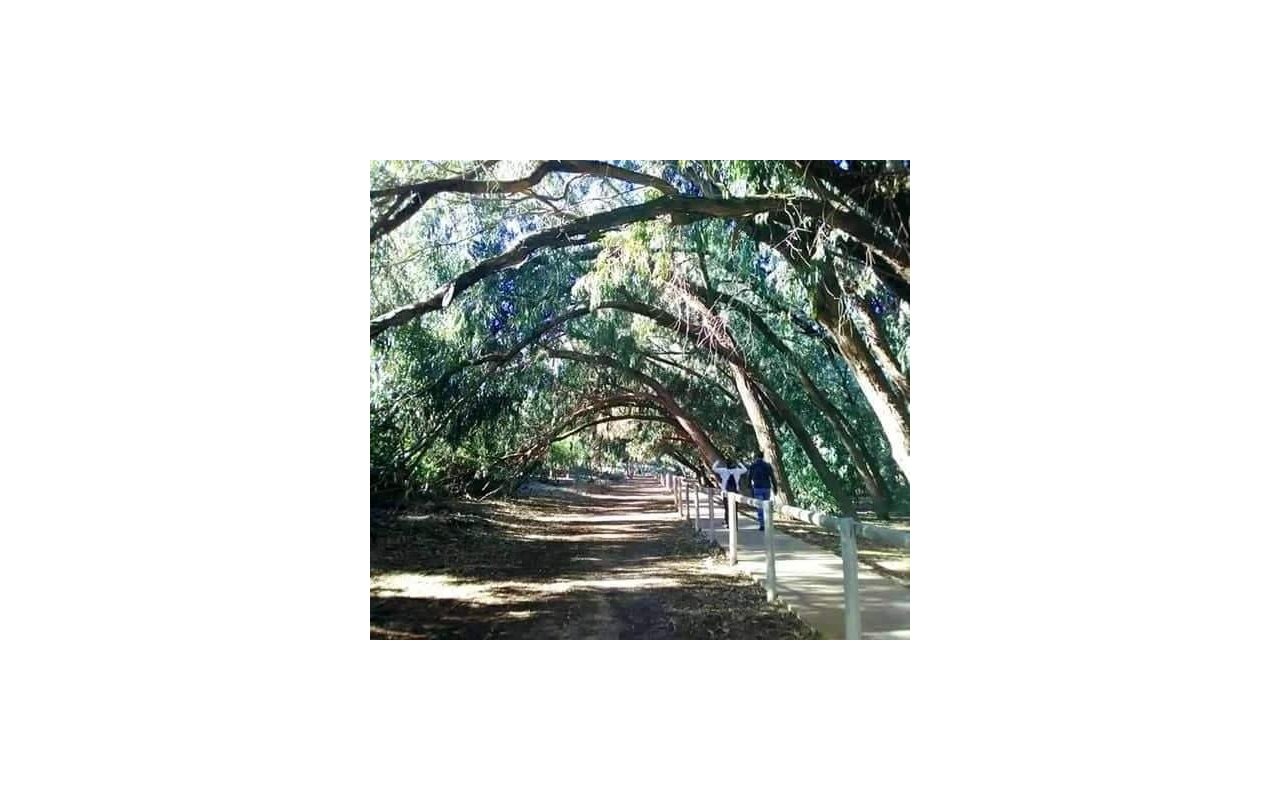 Rynek pierwotny - Bungalow - Torrevieja - Altos del Sol