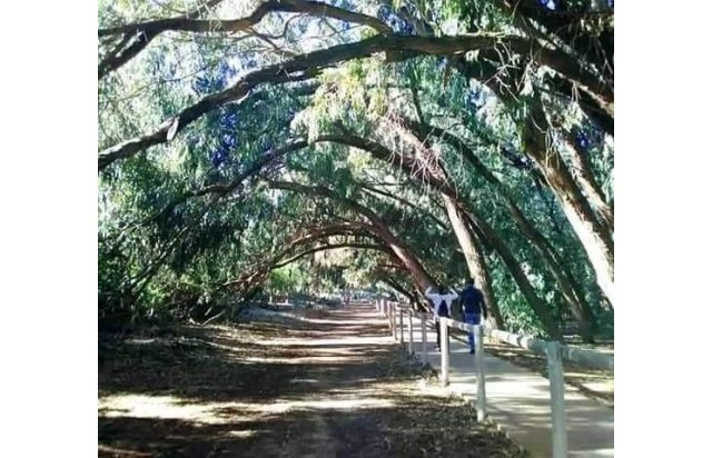 Rynek pierwotny - Bungalow - Torrevieja - Altos del Sol