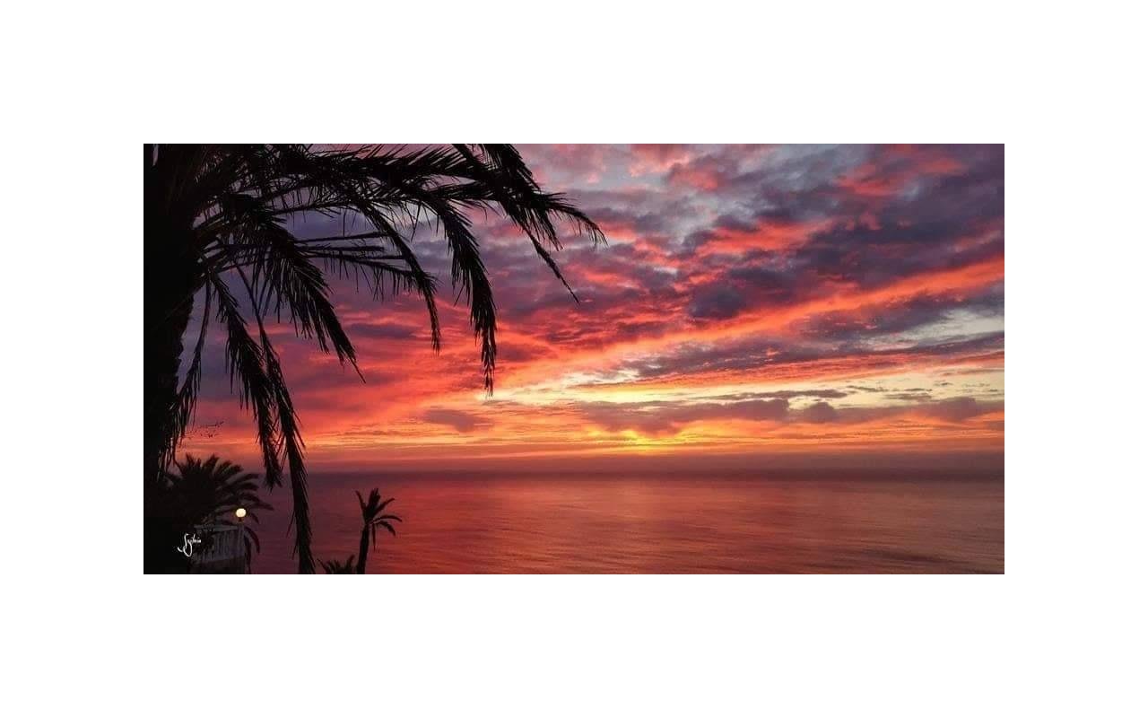 Rynek pierwotny - Bungalow - Torrevieja - Altos del Sol