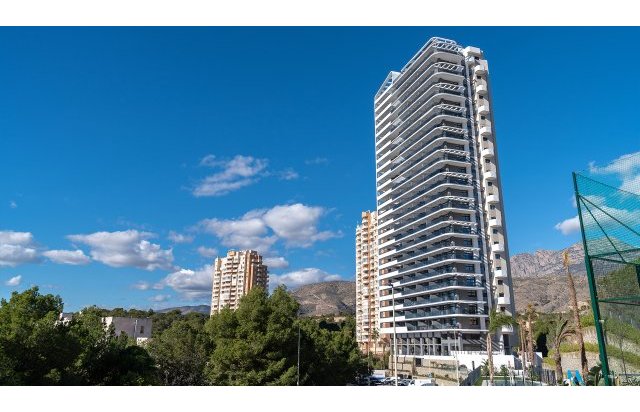 Rynek pierwotny - Daszek - Benidorm - Spain