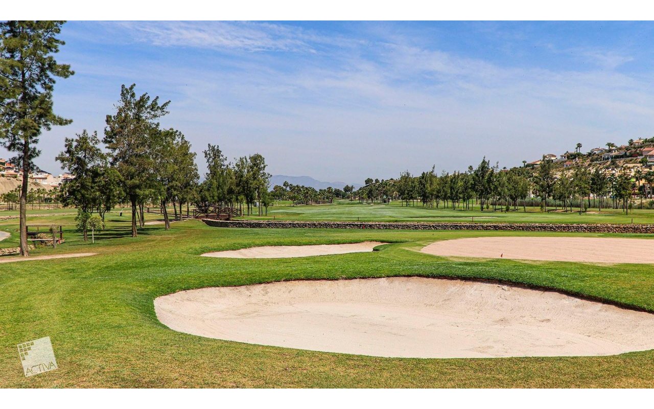 Rynek pierwotny - Villa - Ciudad Quesada - Rojales