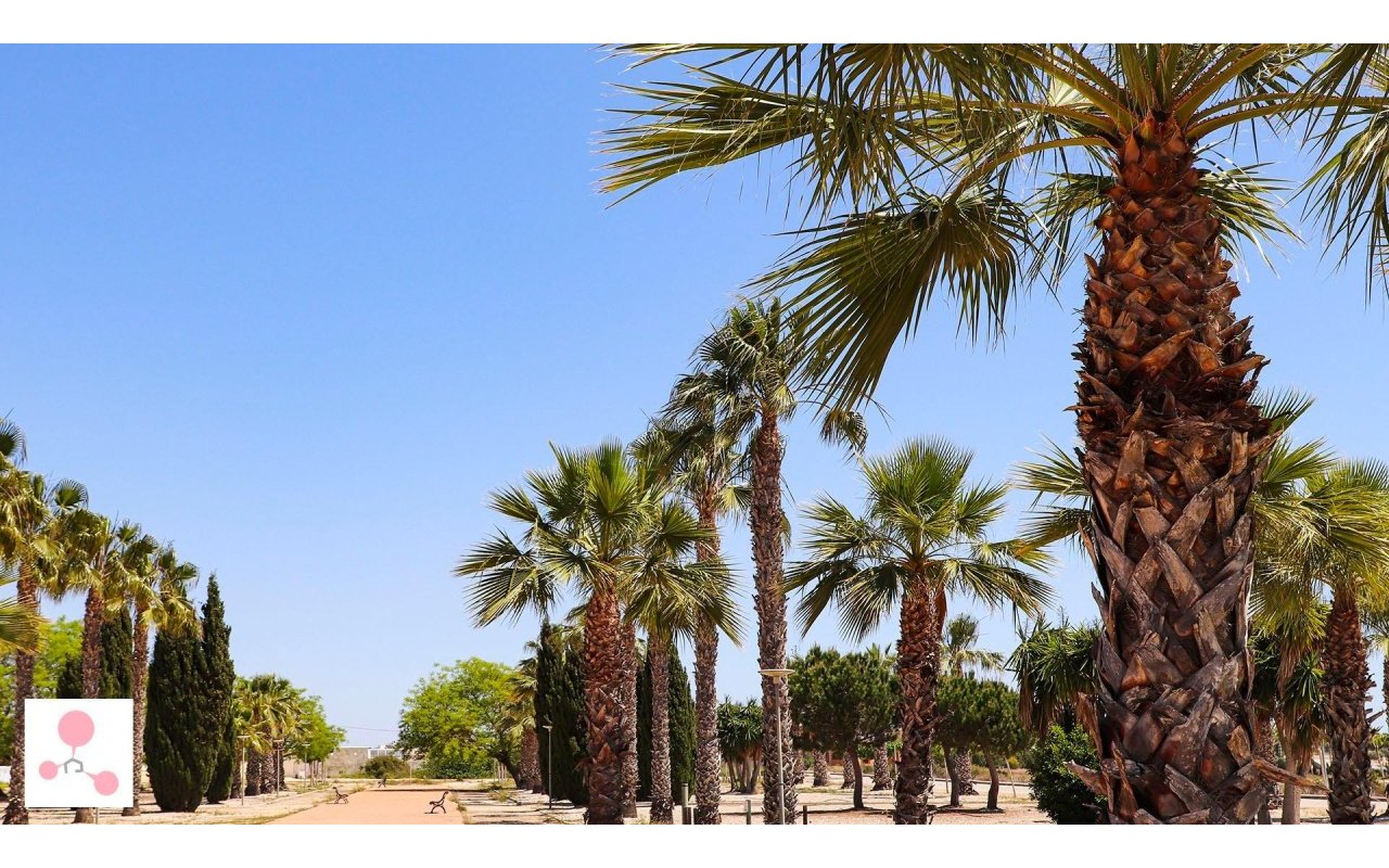 Rynek pierwotny - Villa - San Fulgencio - La Escuera