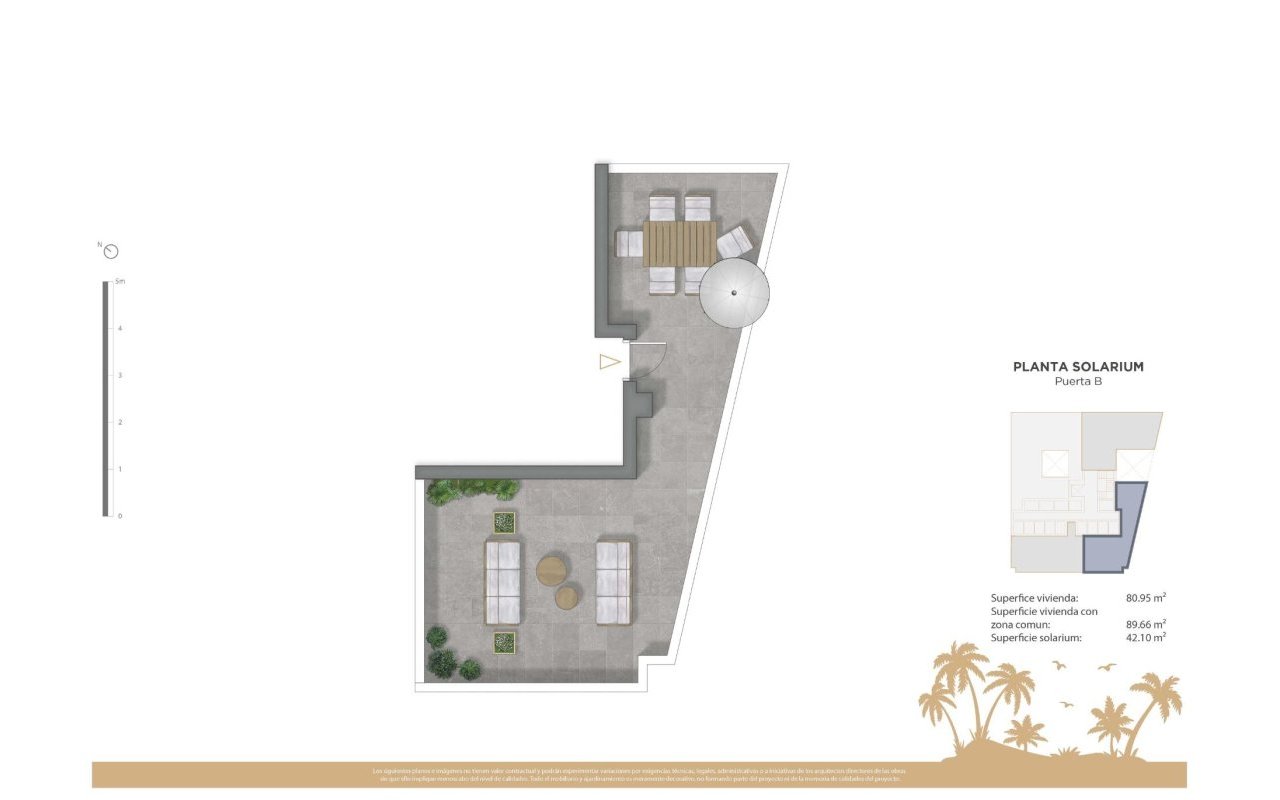 Rynek pierwotny - Daszek - Guardamar del Segura - Pueblo