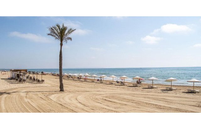 Rynek pierwotny - Daszek - Guardamar del Segura - Pueblo