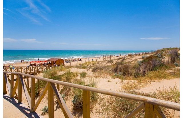 Rynek pierwotny - Daszek - Guardamar del Segura - Pueblo