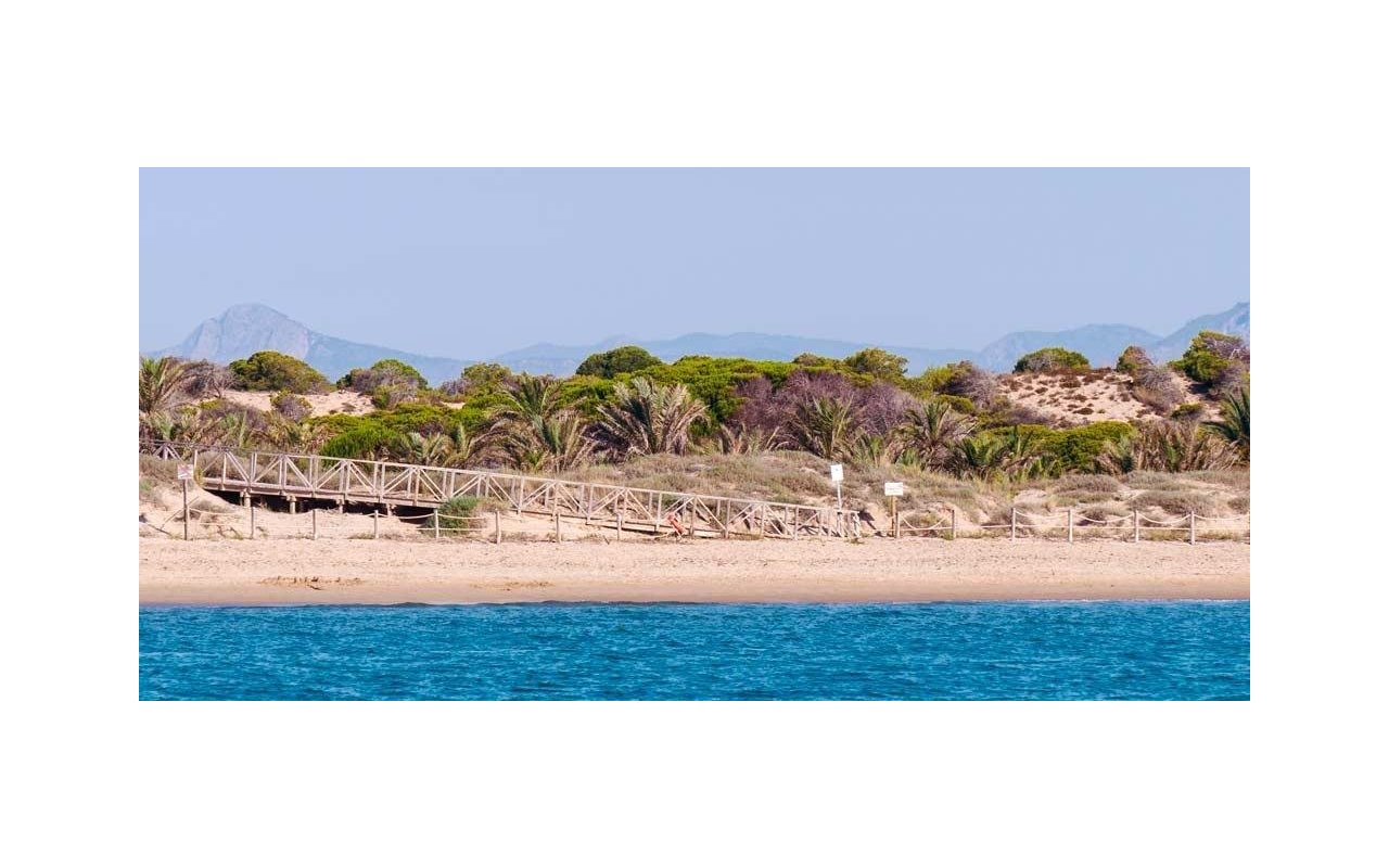 Rynek pierwotny - Daszek - Guardamar del Segura - Pueblo