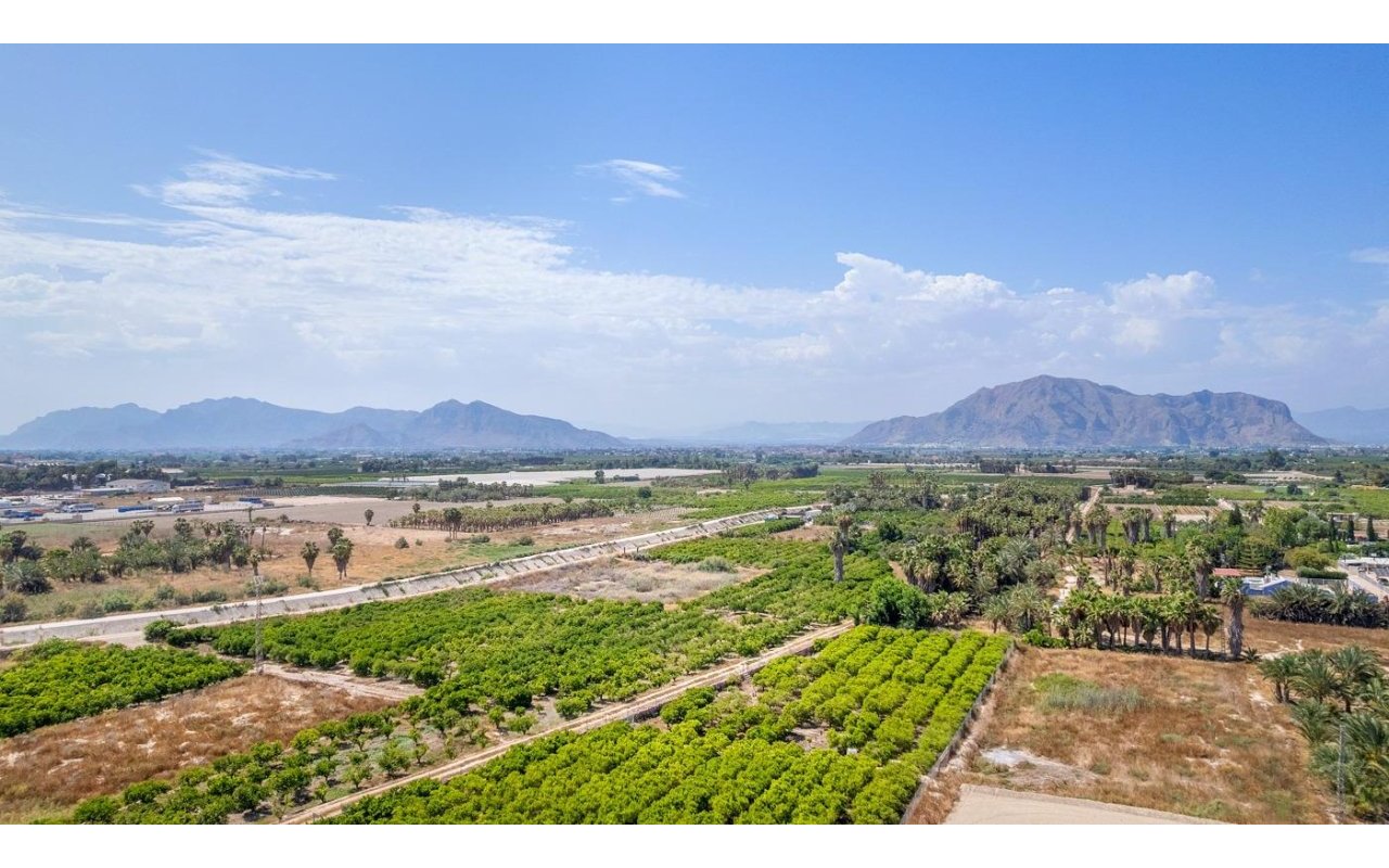 Rynek pierwotny - Apartament - Jacarilla - pueblo