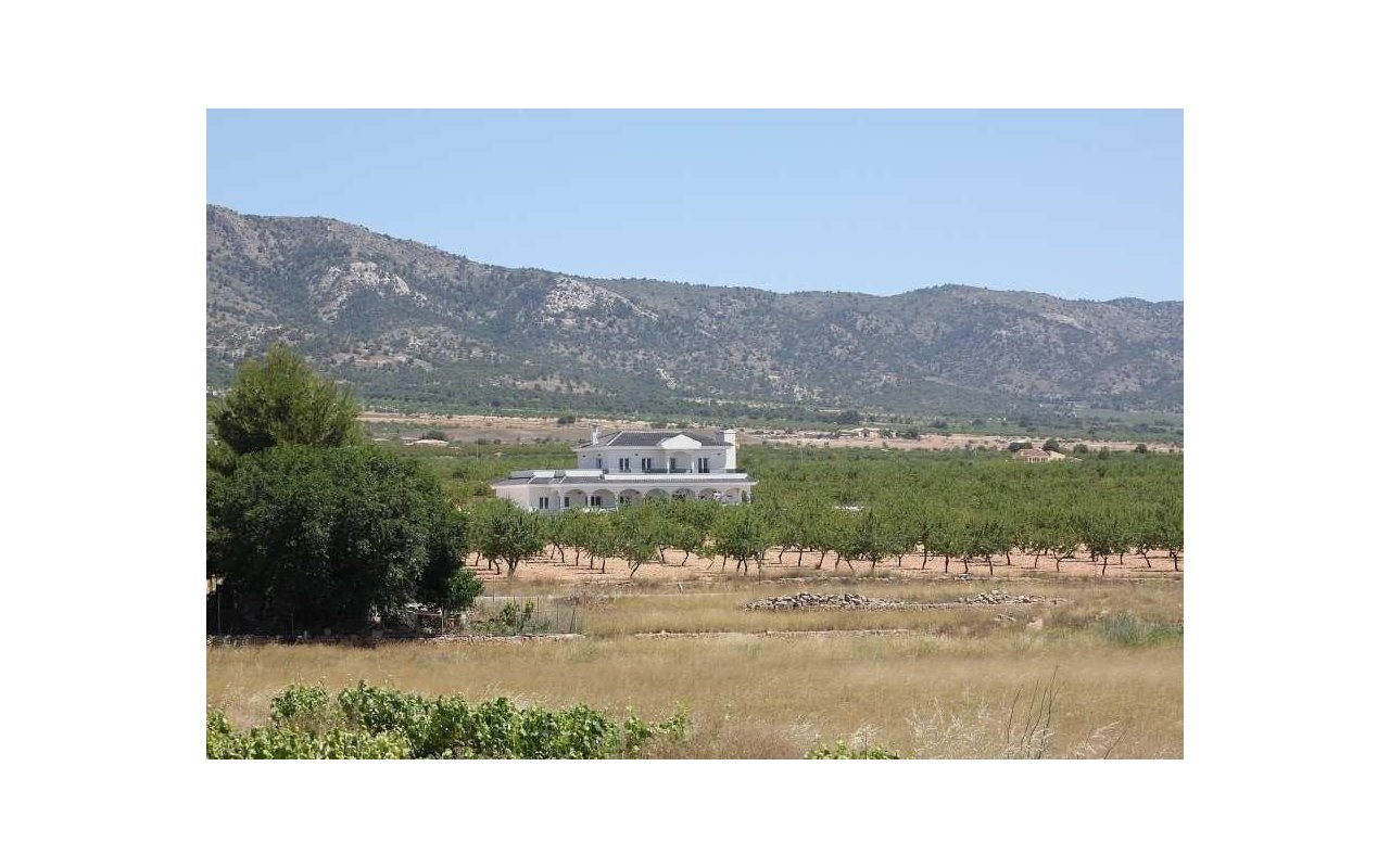 Rynek pierwotny - Villa - Pinoso - Camino Del Prado