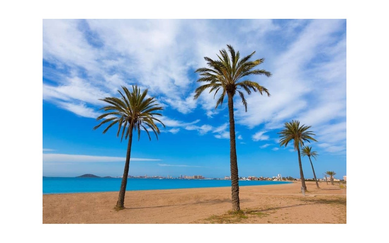 Rynek pierwotny - Villa - Torre Pacheco - Roldán