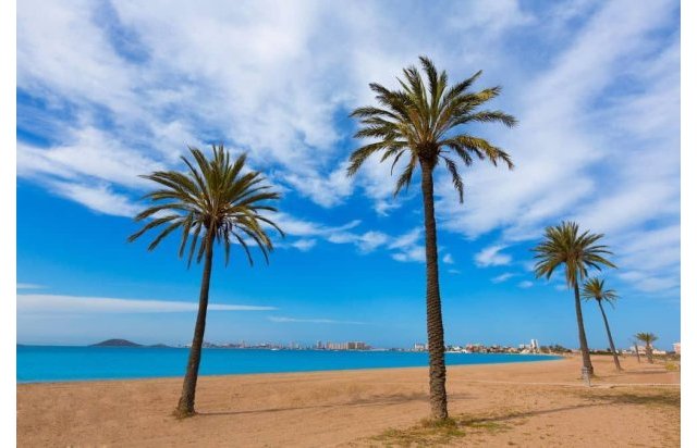 Rynek pierwotny - Villa - Torre Pacheco - Roldán