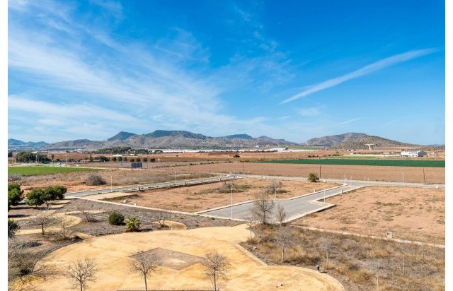 Rynek pierwotny - Daszek - Cartagena - Mar de Cristal