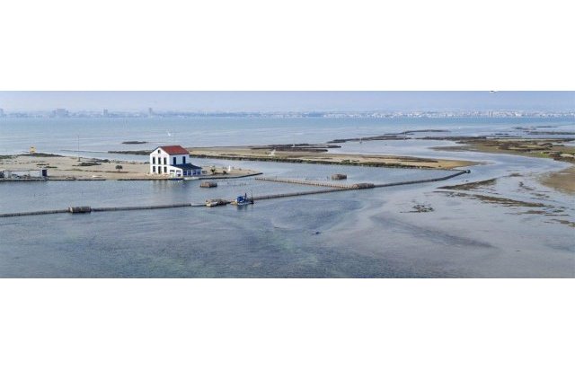 New Build - Villa - San Pedro del Pinatar - Las esperanzas