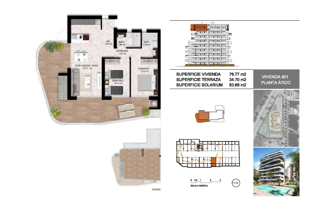 Rynek pierwotny - Daszek - Guardamar del Segura - PUERTO