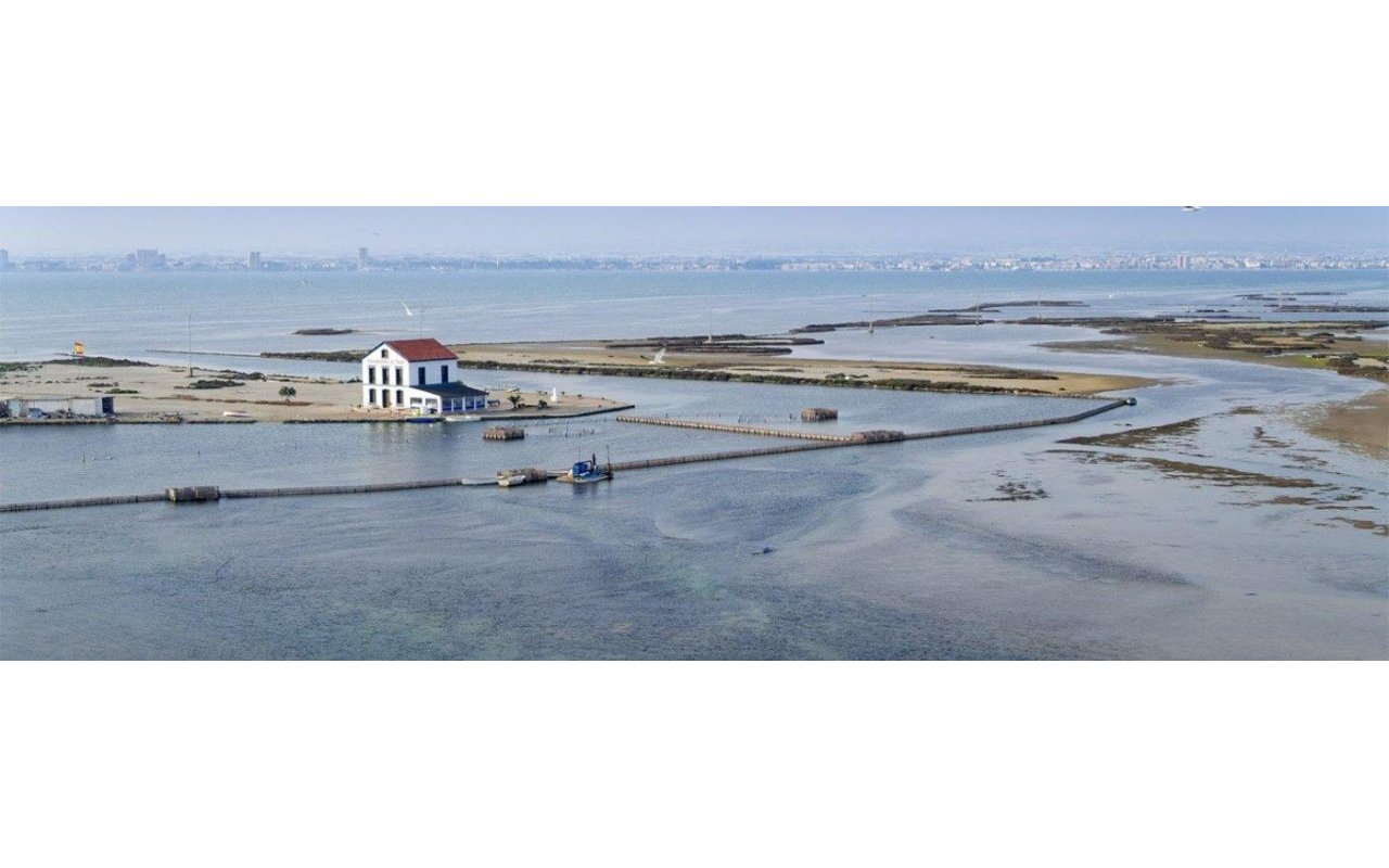 Obra nueva - Ático - San Pedro del Pinatar - Pueblo