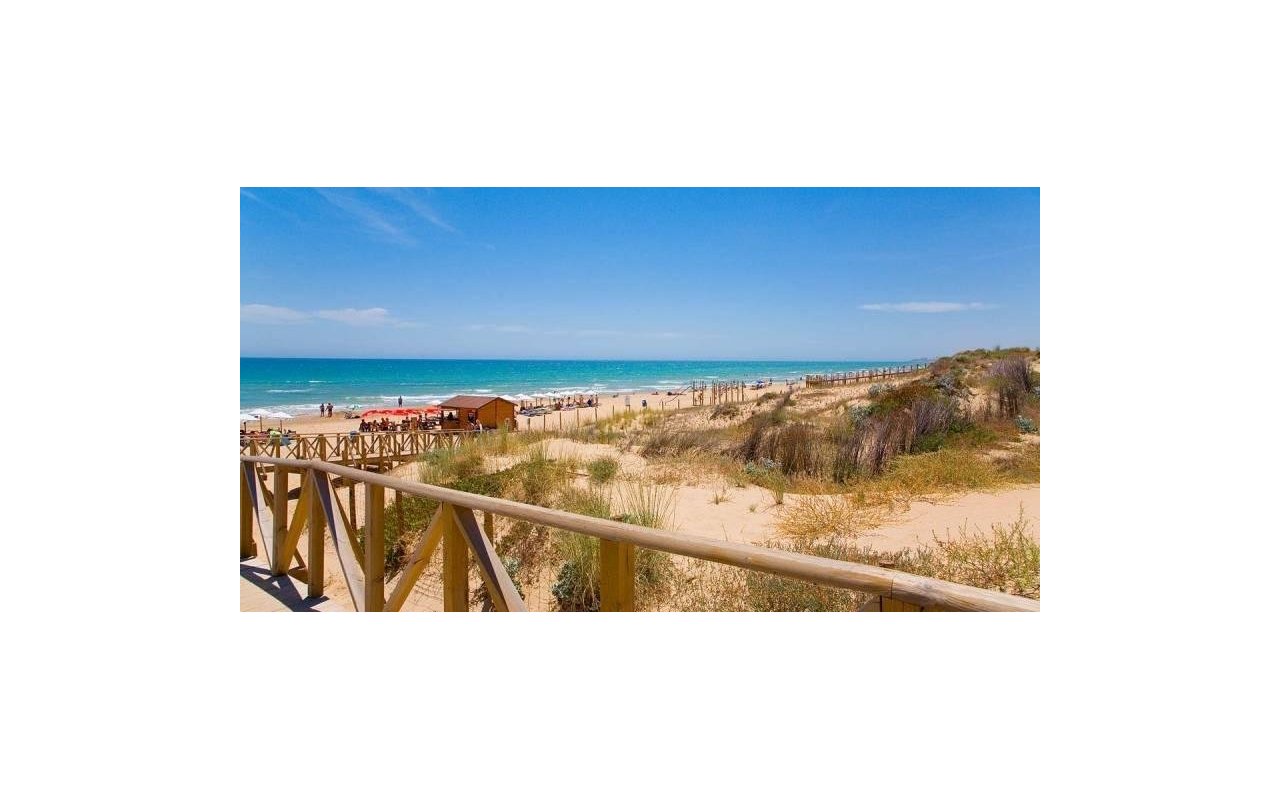 Rynek pierwotny - Villa - Benijofar - Pueblo