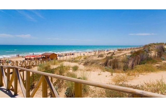 Rynek pierwotny - Villa - Benijofar - Pueblo