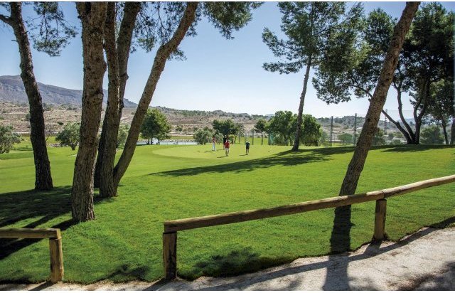 Rynek pierwotny - Daszek - Monforte del Cid - Alenda Golf