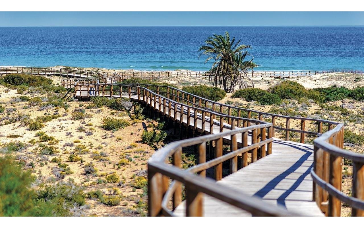 Rynek pierwotny - Daszek - Monforte del Cid - Alenda Golf