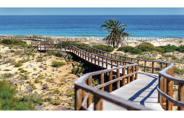 Rynek pierwotny - Daszek - Monforte del Cid - Alenda Golf