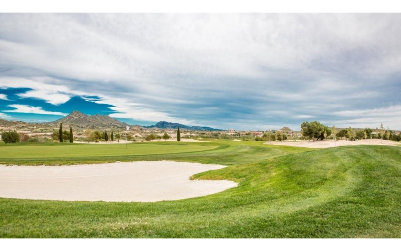 Obra nueva - Villa - BAÑOS Y MENDIGO - Altaona Golf