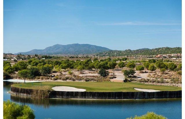 Obra nueva - Villa - BAÑOS Y MENDIGO - Altaona Golf