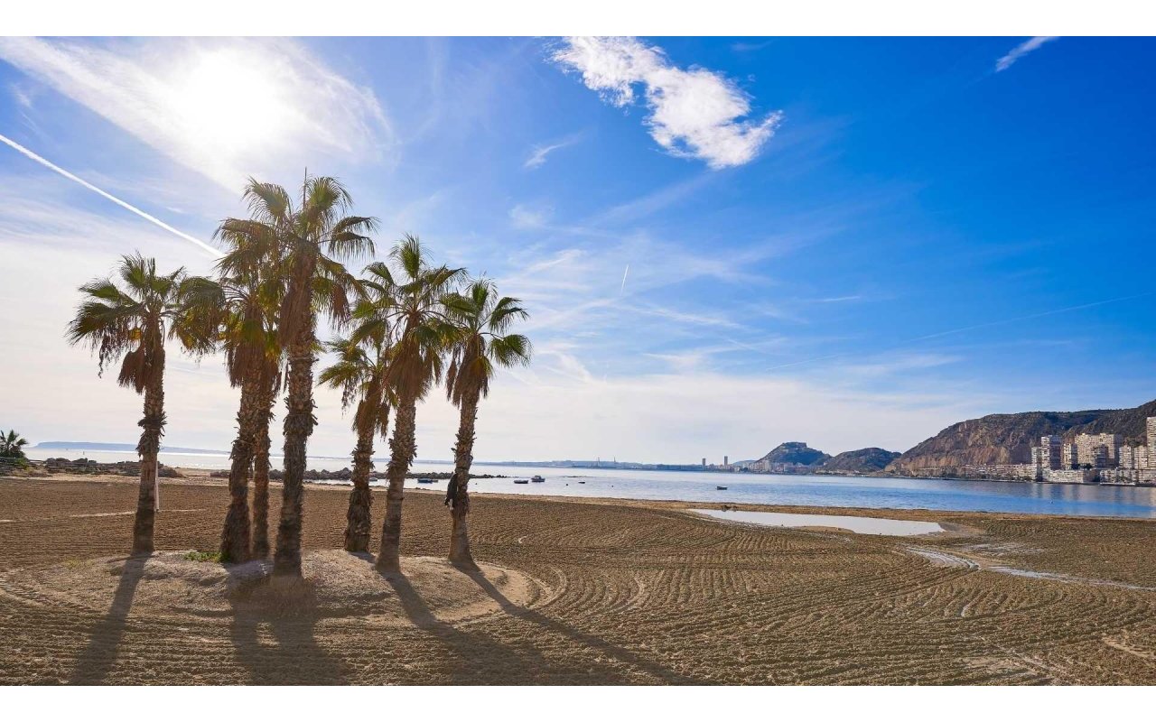 Rynek pierwotny - Villa - Els Poblets - Partida Barranquets