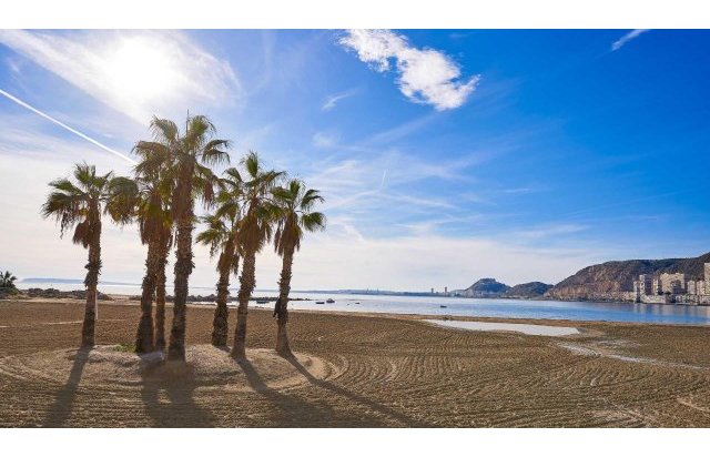 Rynek pierwotny - Villa - Els Poblets - Partida Barranquets