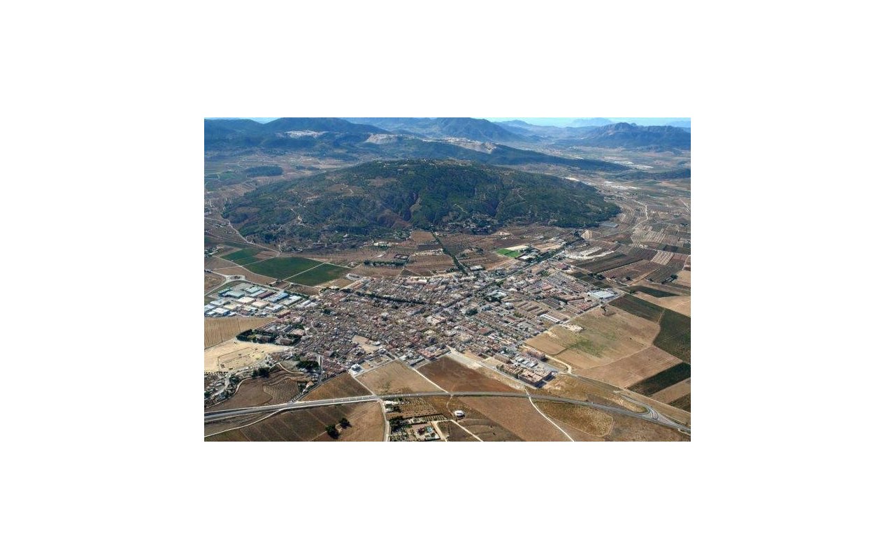 Obra nueva - Villa - Pinoso - Lel