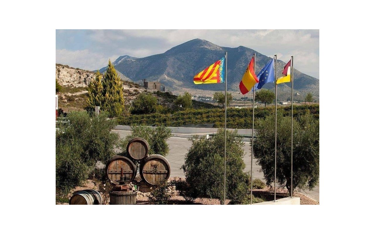 Obra nueva - Villa - Pinoso - Lel