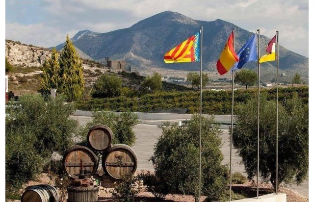 Obra nueva - Villa - Pinoso - Lel