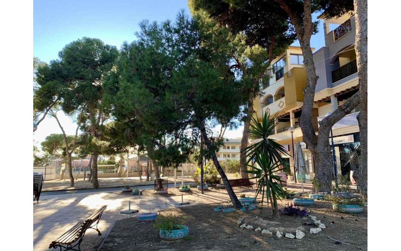 Obra nueva - Bungalow - San Javier - Roda Golf