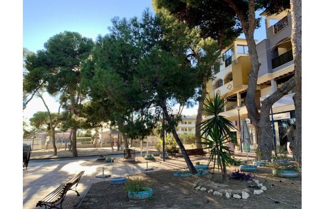 Obra nueva - Bungalow - San Javier - Roda Golf