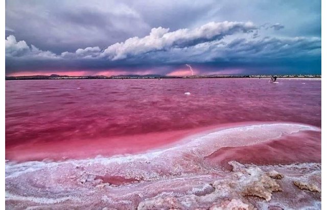 Rynek pierwotny - Apartament - Torrevieja - Centro