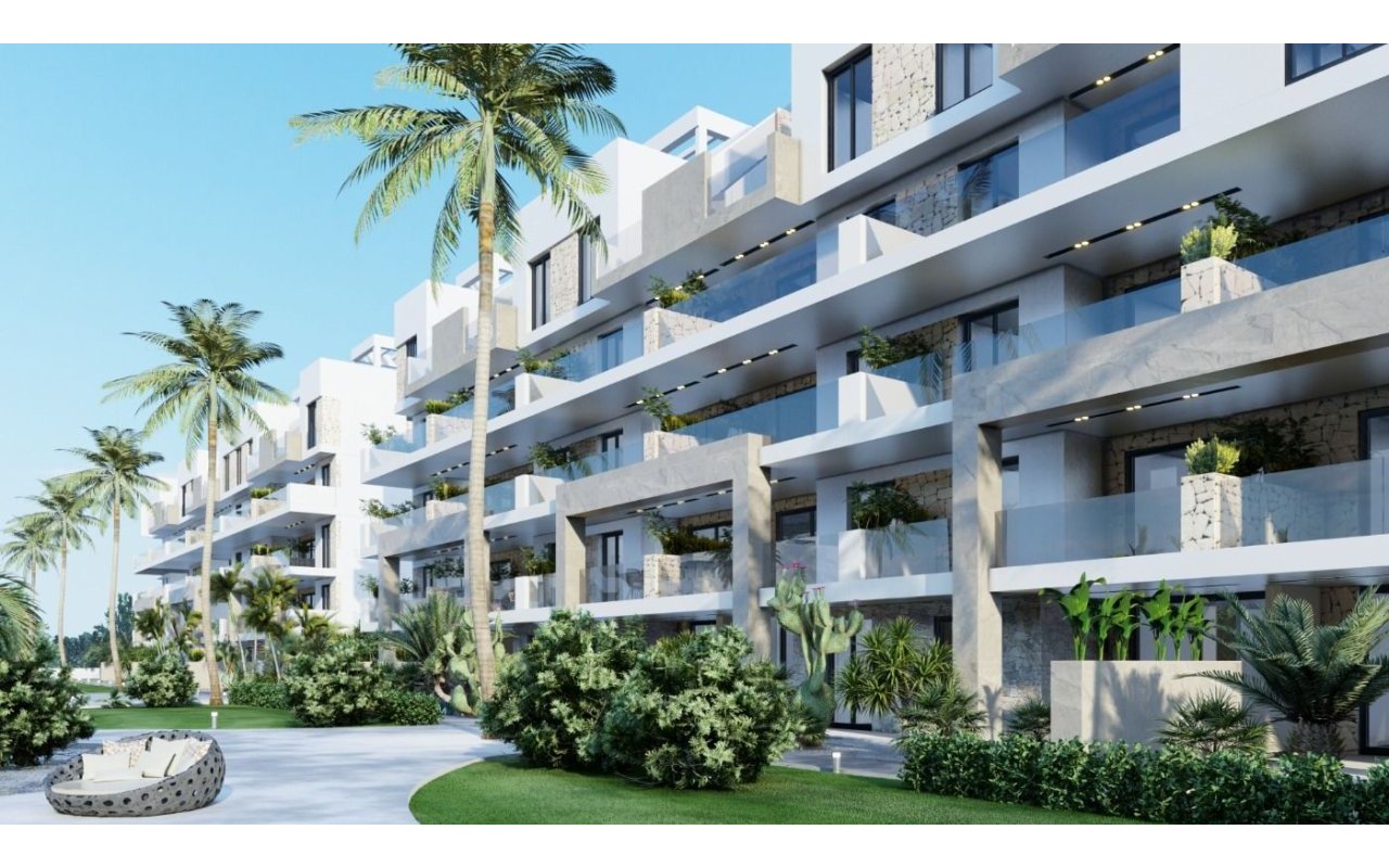 Rynek pierwotny - Daszek - Guardamar del Segura - El Raso