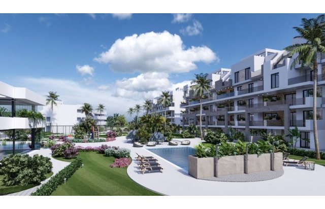 Rynek pierwotny - Daszek - Guardamar del Segura - El Raso