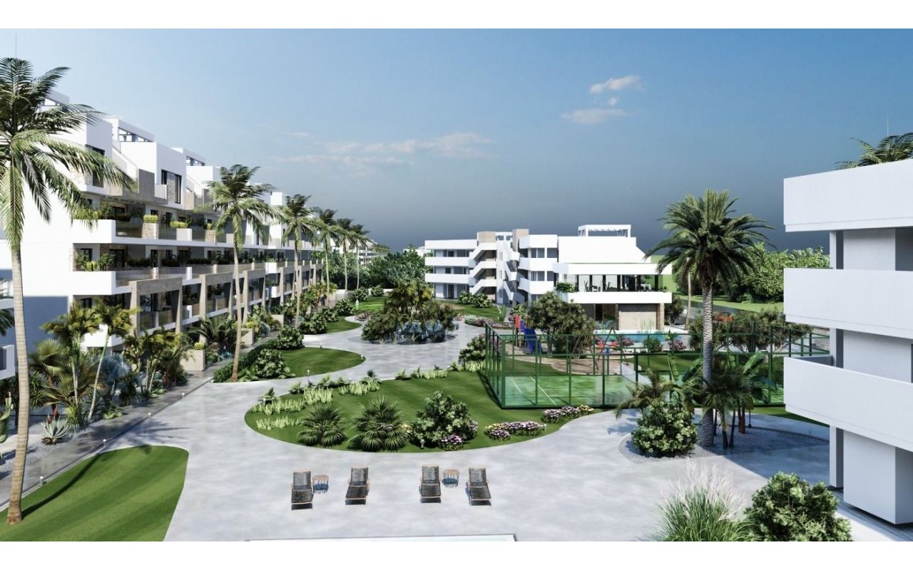 Rynek pierwotny - Daszek - Guardamar del Segura - El Raso