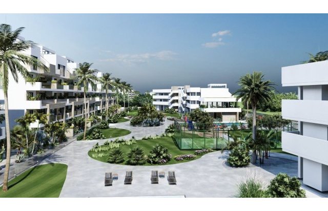 Rynek pierwotny - Daszek - Guardamar del Segura - El Raso