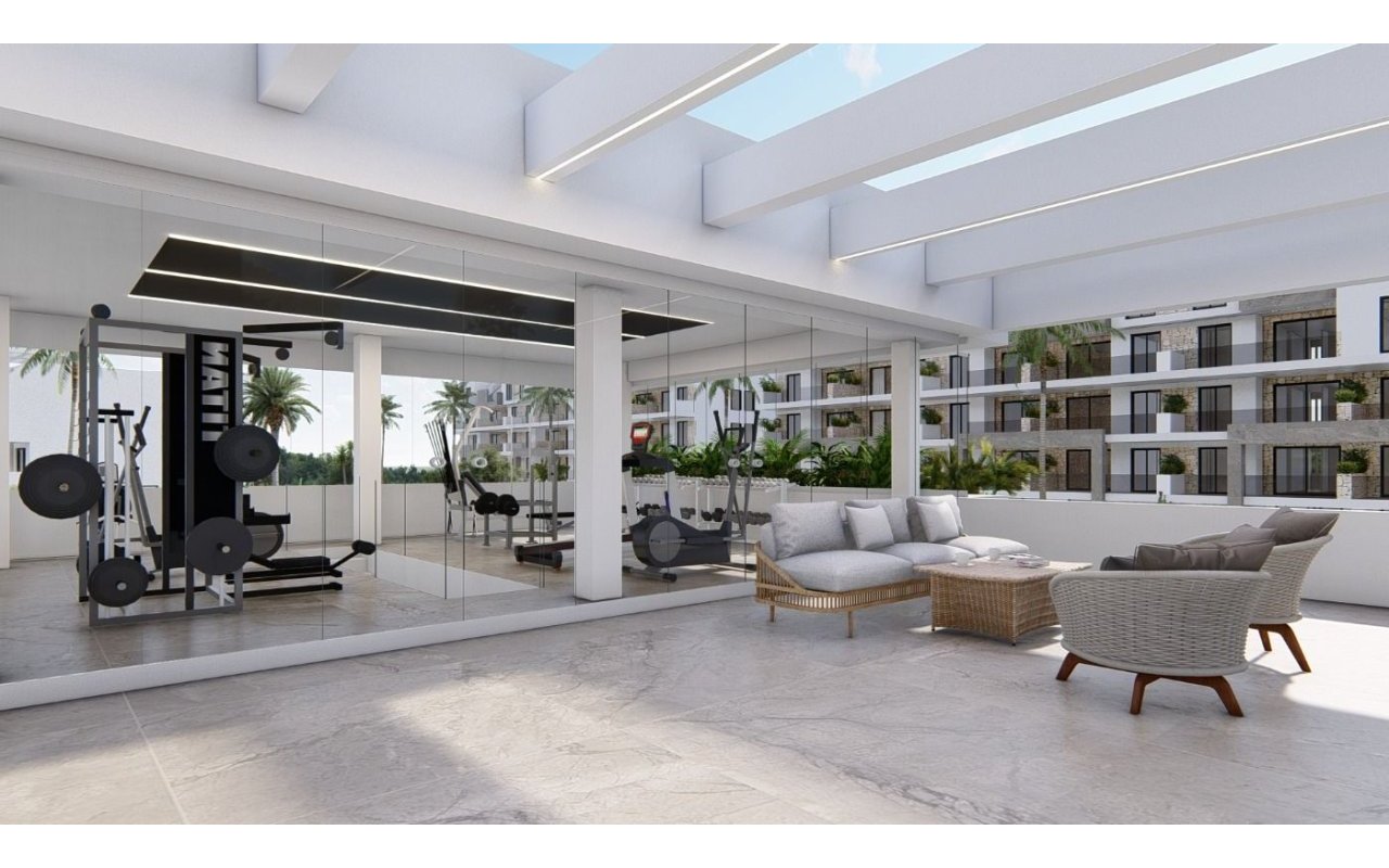 Rynek pierwotny - Daszek - Guardamar del Segura - El Raso