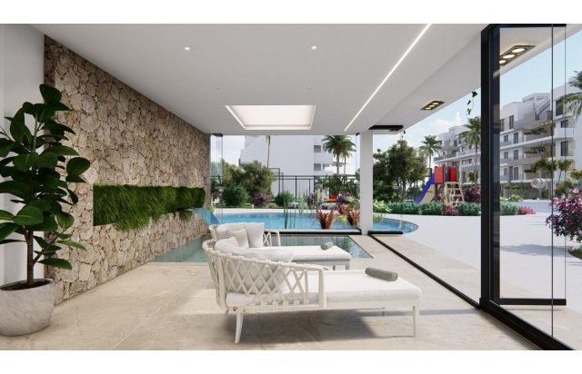 Rynek pierwotny - Daszek - Guardamar del Segura - El Raso