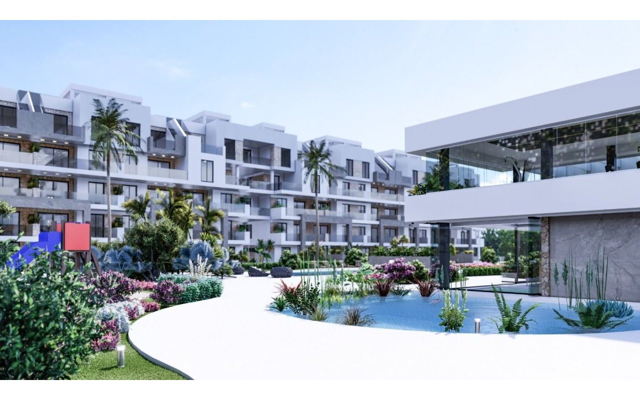 Rynek pierwotny - Daszek - Guardamar del Segura - El Raso