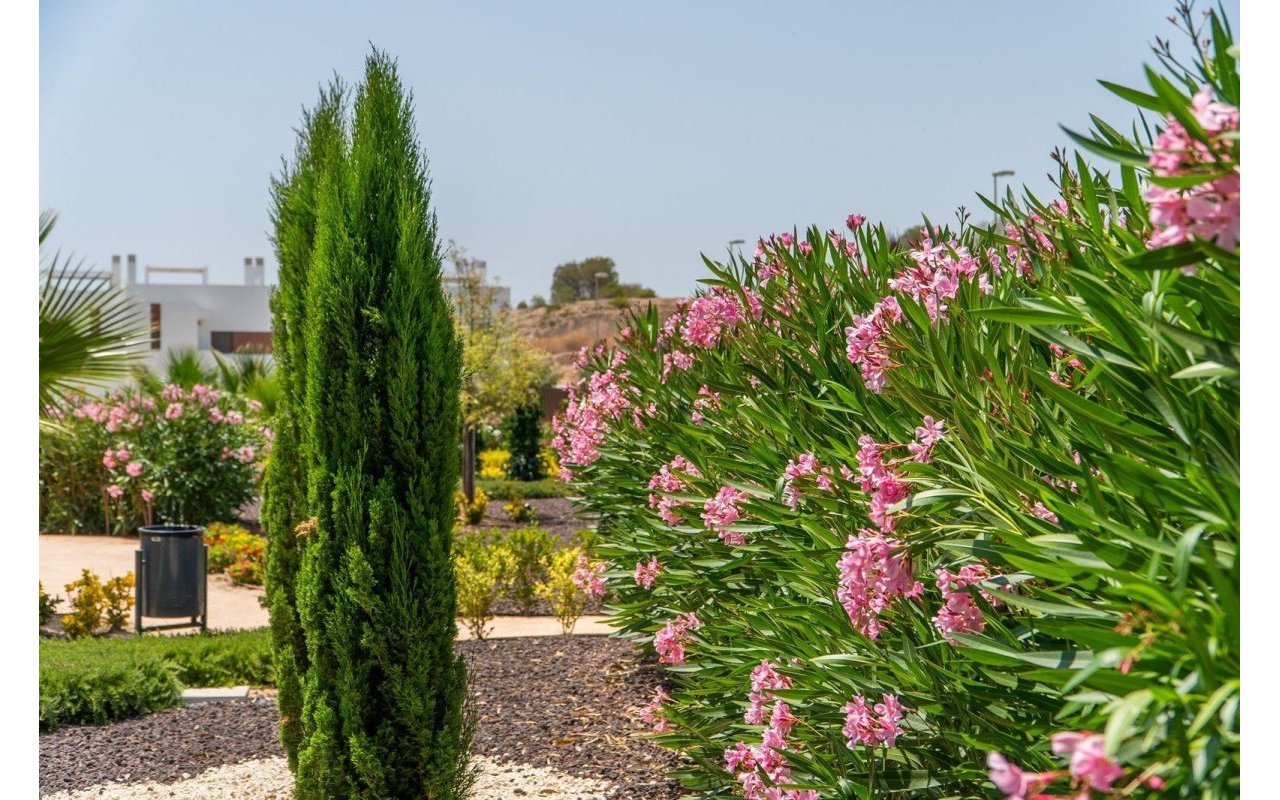 Obra nueva - Top Floor Bungalow - Orihuela - Vistabella Golf