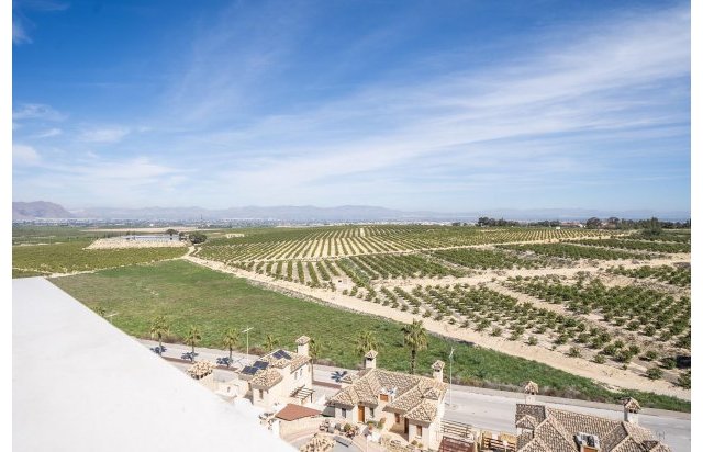 Rynek pierwotny - Villa - Algorfa - La finca golf