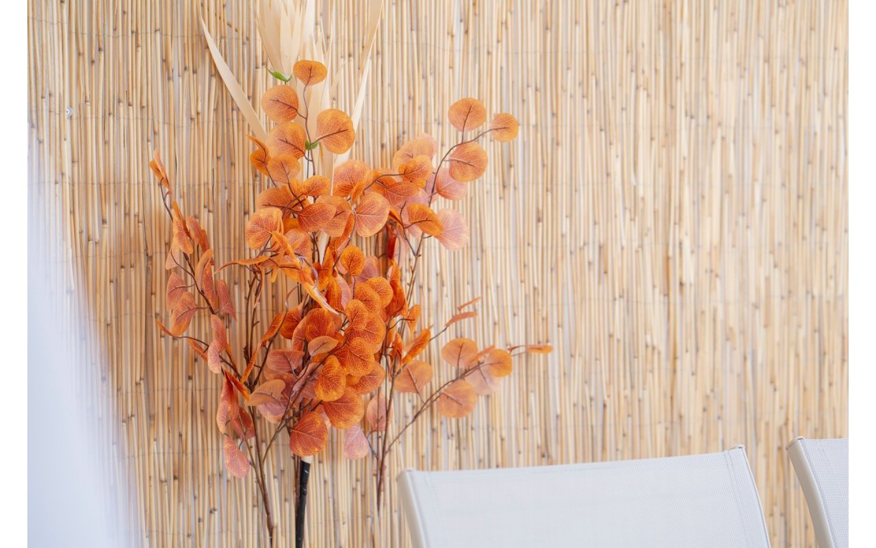 Reventa - Flat - Orihuela Costa - Punta Prima