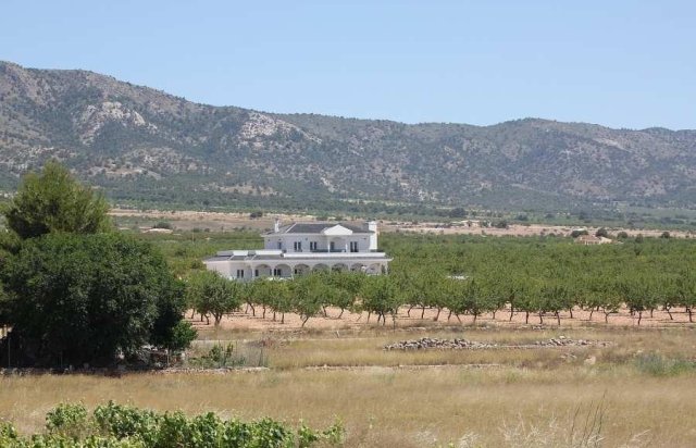 New Build - Villa - Pinoso - Camino Del Prado