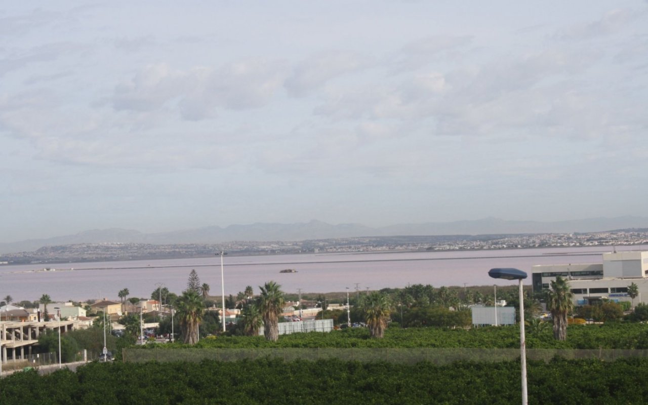 Rynek pierwotny - Town House - Torrevieja - Los Altos