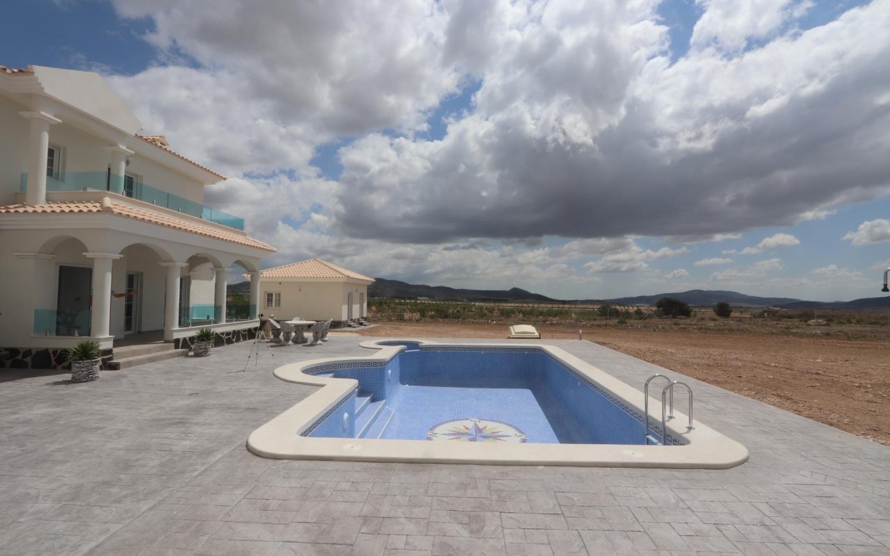Obra nueva - Villa - Pinoso - Camino Del Prado
