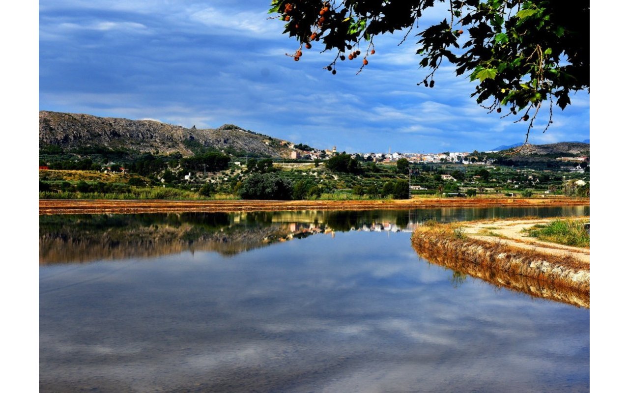 Rynek pierwotny - Villa - Calasparra - Coto riñales